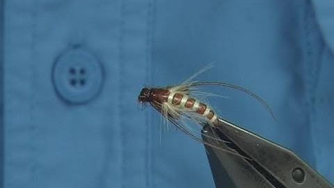 Tying the McPhail Emerger Caddis by Davie McPhail