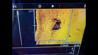Live Searching For Karen Adams