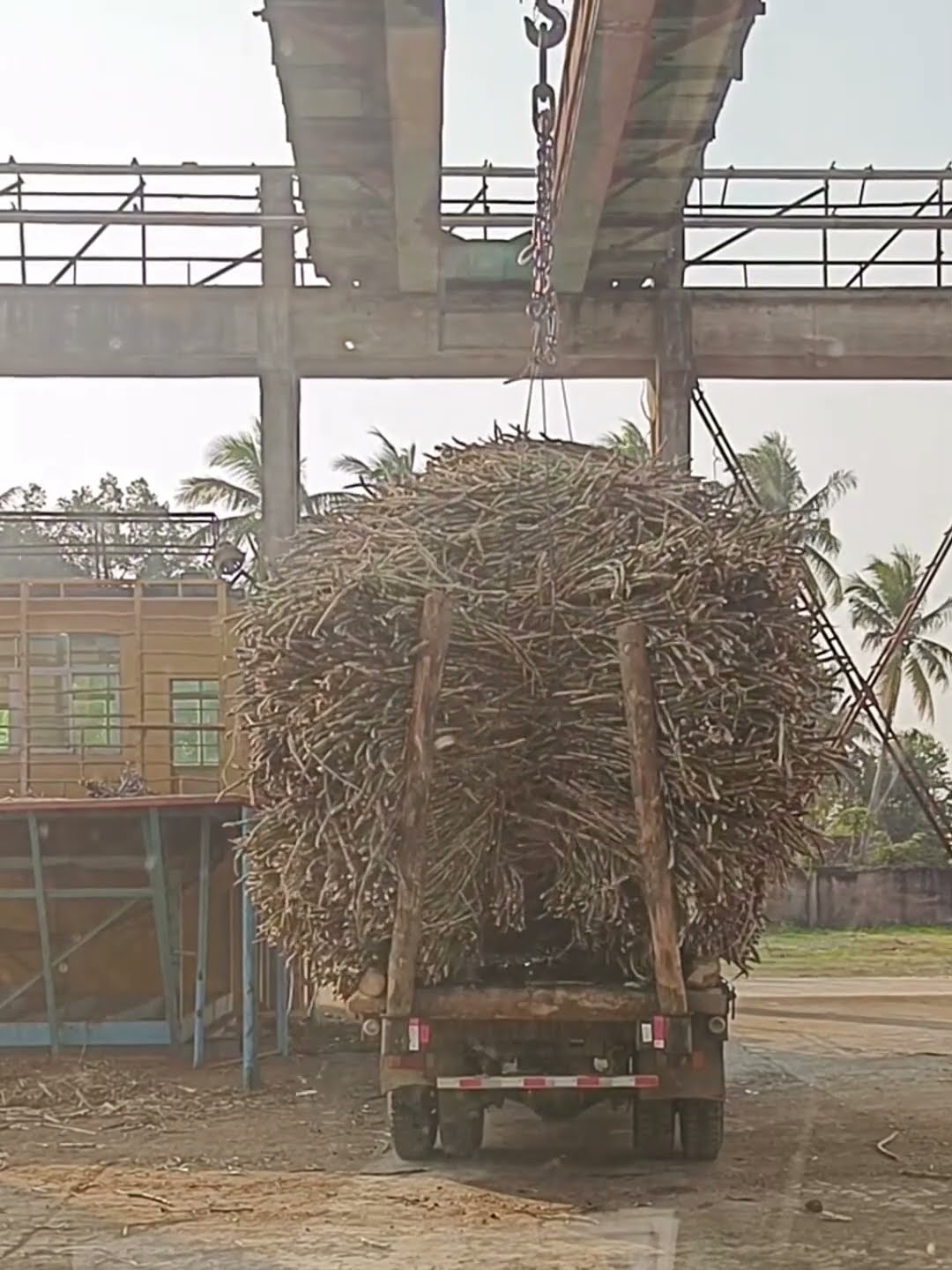 Pull sugarcane to make sugar process- Good tools and machinery make work easy
