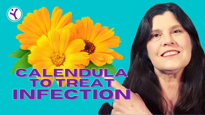 CALENDULA: An herbal antibiotic YOU NEED to grow