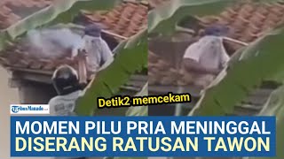 MOMEN PILU! DETIK-DETIK PRIA DISERANG TAWON