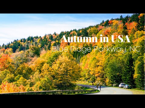 [4K Video] Autumn in USA 2021 | Blue Ridge Parkway Road Trip