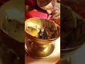 Peter cats hot brownie with vanilla ice cream and chocolate sauce ice cream