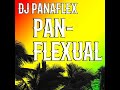 Dj panaflex  panflexual