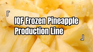Automatic IQF Pineapple Dices Processing Line | Complete Workflow from Cutting to Freezing
