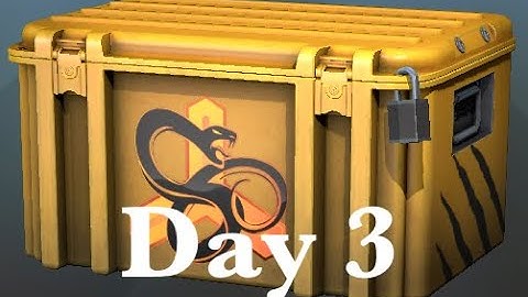 Opening a CS:GO snakebite case until I get a gloves #3