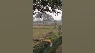 Udit Narayan copy🌹 nahi Kahi Thi Baat Jo Tune Kabhi