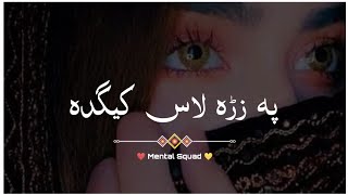 Pa Zrha Las kida 💔 | Pashto Sad Shayari Status | Mental Squad | screenshot 4