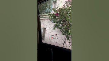 فَاسْتَجَبْنَا لَهُ وَنَجَّيْنَاهُ مِنَ الْغَمِّ ۚ|سورة الأنبياء|القارئ إسلام صبحي.