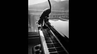The voice of the night (Гласът на нощта) #piano #pianomusic #music