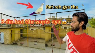 Rat reh gya tha 3 din bad Ghr wapis aya 😱 | Dar pigeons club |