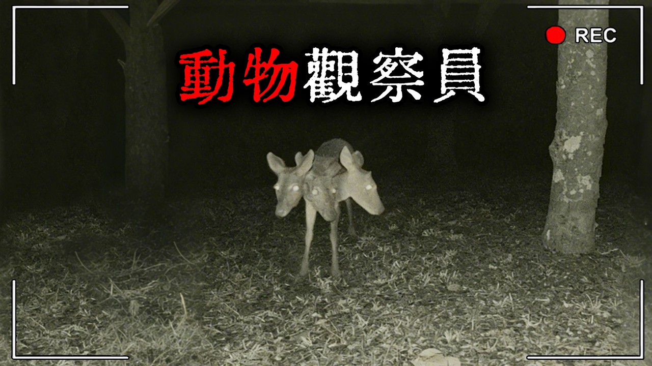 《動物觀察員》但....這裡的動物變異了！有異常！