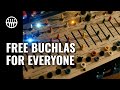 Building a free to use buchla system based on the 208c easel command  thomann