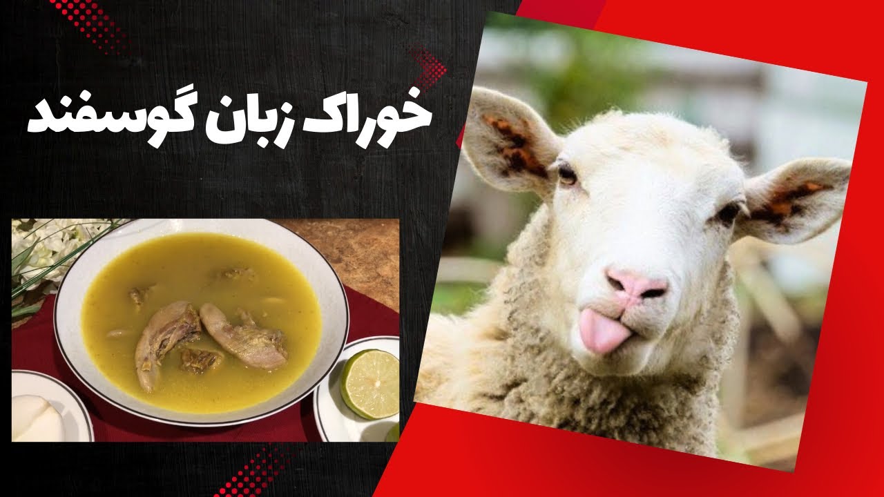 خوراک زبان گوسفند ( جهت صبحانه یا افطار ) - YouTube