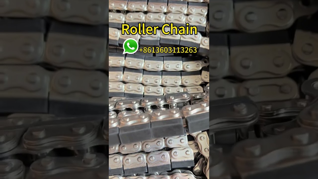 Stainless steel roller chain with rubber