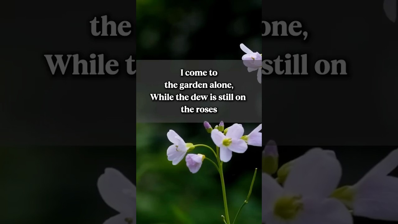 In the Garden with Lyrics – Quiet Acoustic Hymn for Prayer & Reflection