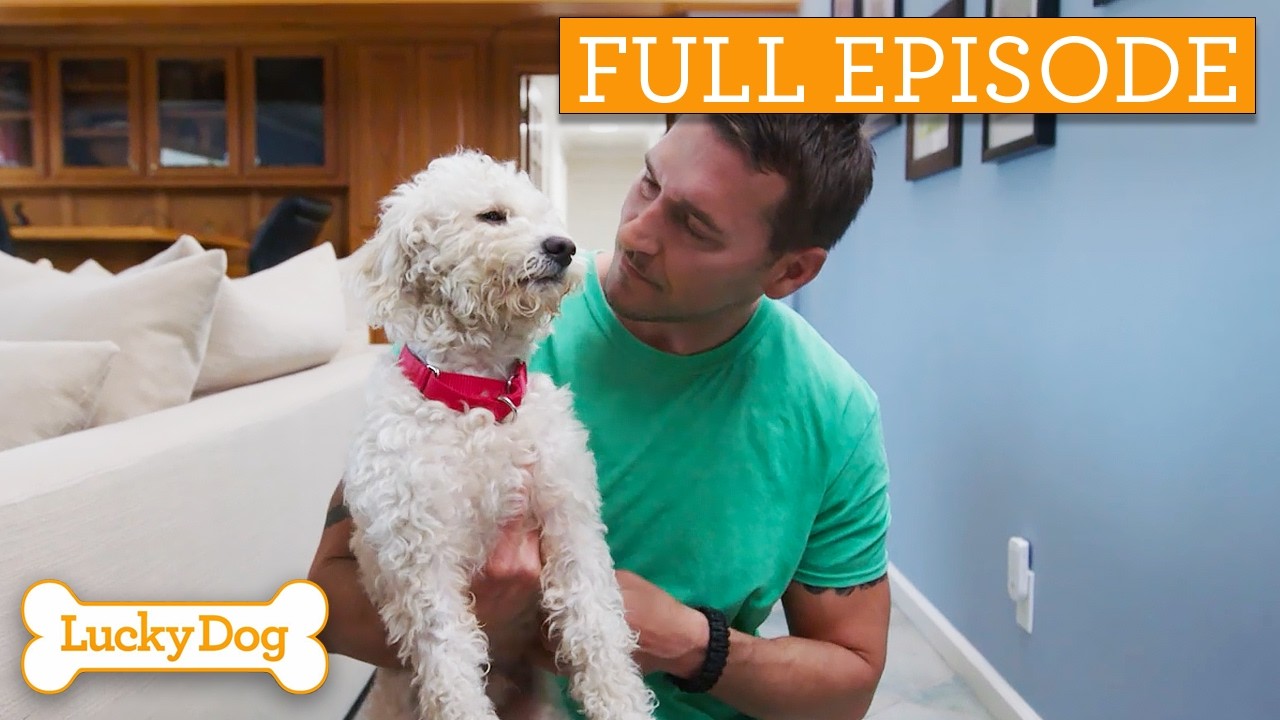 Deaf Dog Discovers Love For The First Time | Full Episode S5 Ep4
