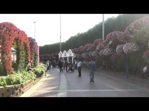 Dubai Miracle Garden