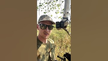Finding a trail cam I left 2 years ago... #deerhunting #bowhunting #hunting #trailcam #trailcamera