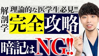 【医師講師直伝】解剖学は暗記じゃなくて理論で覚える!!テストにでるとこだけ1時間で完璧にできます(CBT,医師国家試験,進級試験)【解剖学勉強法】