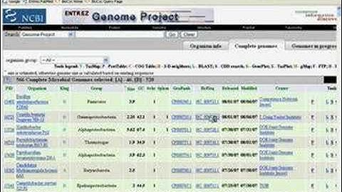 Making a Model Organism Database Part 1B