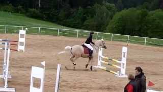 Charlotta S Klárou, Parkur Zz, Svébohov 23.5.2015, 1.Místo