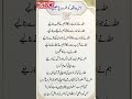 MALIK #viralvideo #duet #virolyoutub #اسلامیک
