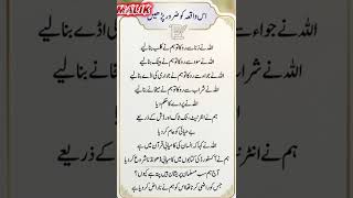 MALIK #viralvideo #duet #virolyoutub #اسلامیک