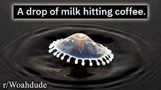 48 minutes of r/woahdude