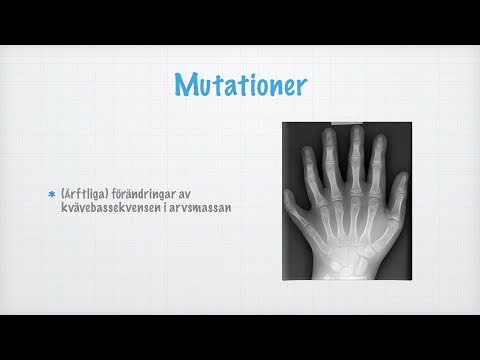 Video: Hur kan genetiska mutationer vara fördelaktiga?