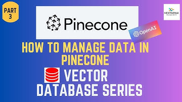 Manage Data in Pinecone | Part 3 | Pinecone Index Operations | Semantic Search in Pinecone