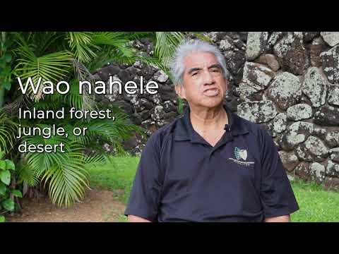 Nā Huaʻōlelo o Ka Malama: Wao nahele