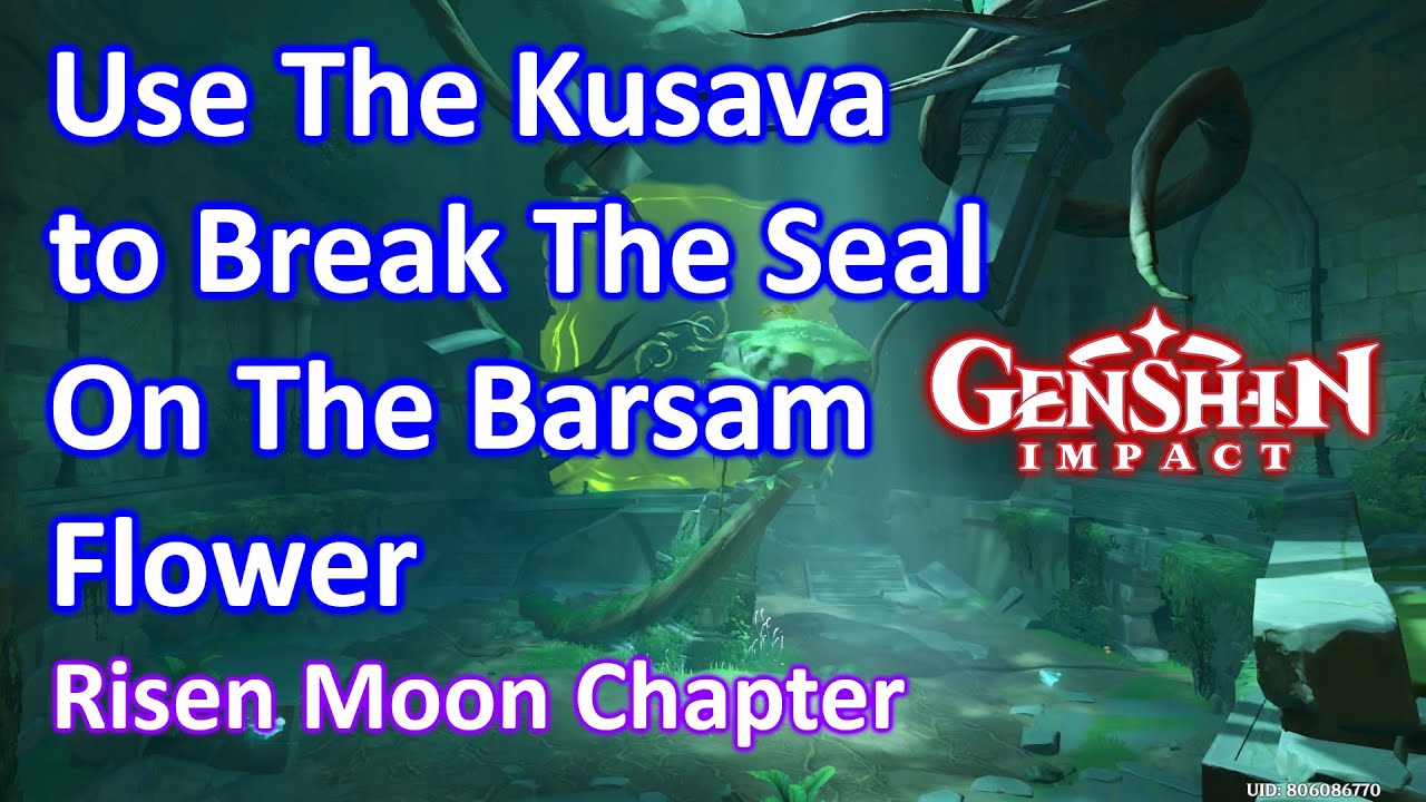 Use The Kusava To Break The Seal On The Barsam Flower Genshin YouTube Use The Kusava To Break The Seal On The Barsam Flower Genshin YouTube