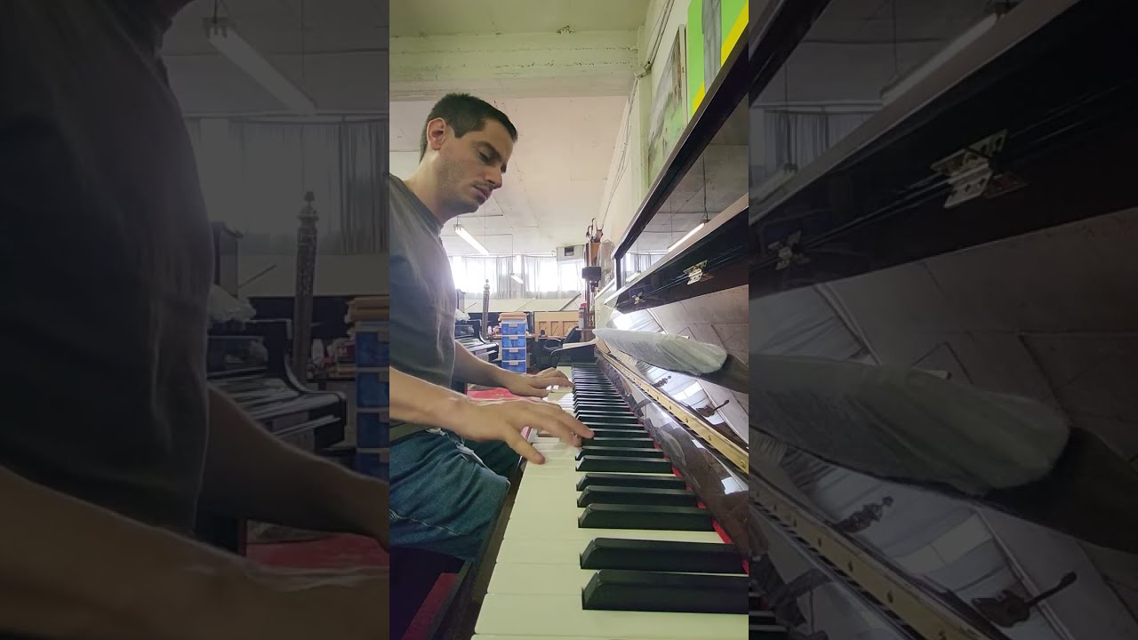 schulze-pollmann SU-122