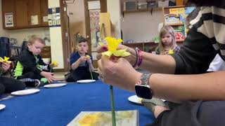 Daffodil dissection