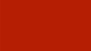 Bold Red Screen 🌹 Relaxing Ambient Color Display