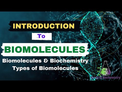 What are Biomolecules? | Biomolecules and Biochemistry | What are the major types of Biomolecules?
