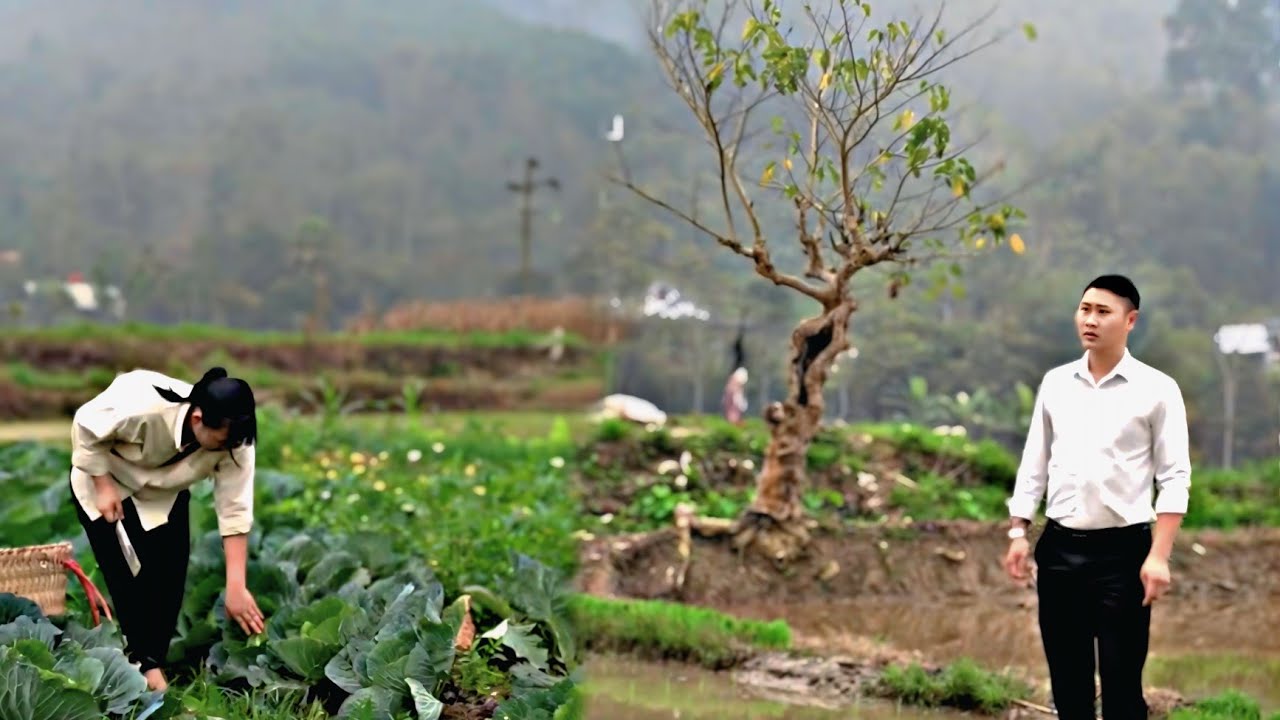Tuan Returns to the Poor Single Mother Working Alone in the Field | Emotional Village Story