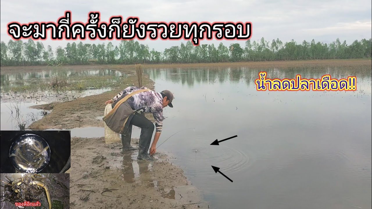 เดือดทุกรอบ!!ปักเบ็ดหมายนี้ปลาชุมจริงๆมากี่ครั้งก็รวยทุกครั้งที่มาเยือนไม่เคยทำให้ผิดหวัง
