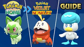 Pokémon Scarlet And Violet - How To Get Hidden Ability Sprigao, Fuecoco And Quaxly