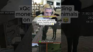 xQc loves feeding animals