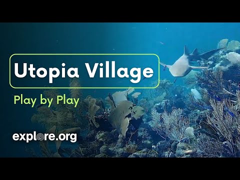 Utopia Village Underwater Play by Play