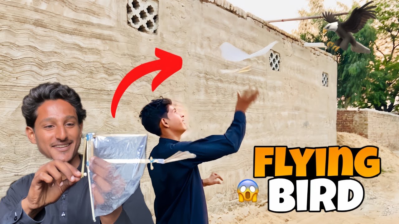 Kiya ye udde ga ?🤔 | Bhai ne flying bird bana Diya 