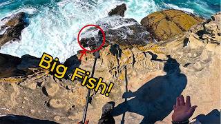 Cliff Fishing For Lingcod: The Hunt For BIG LING LING! Episode 1