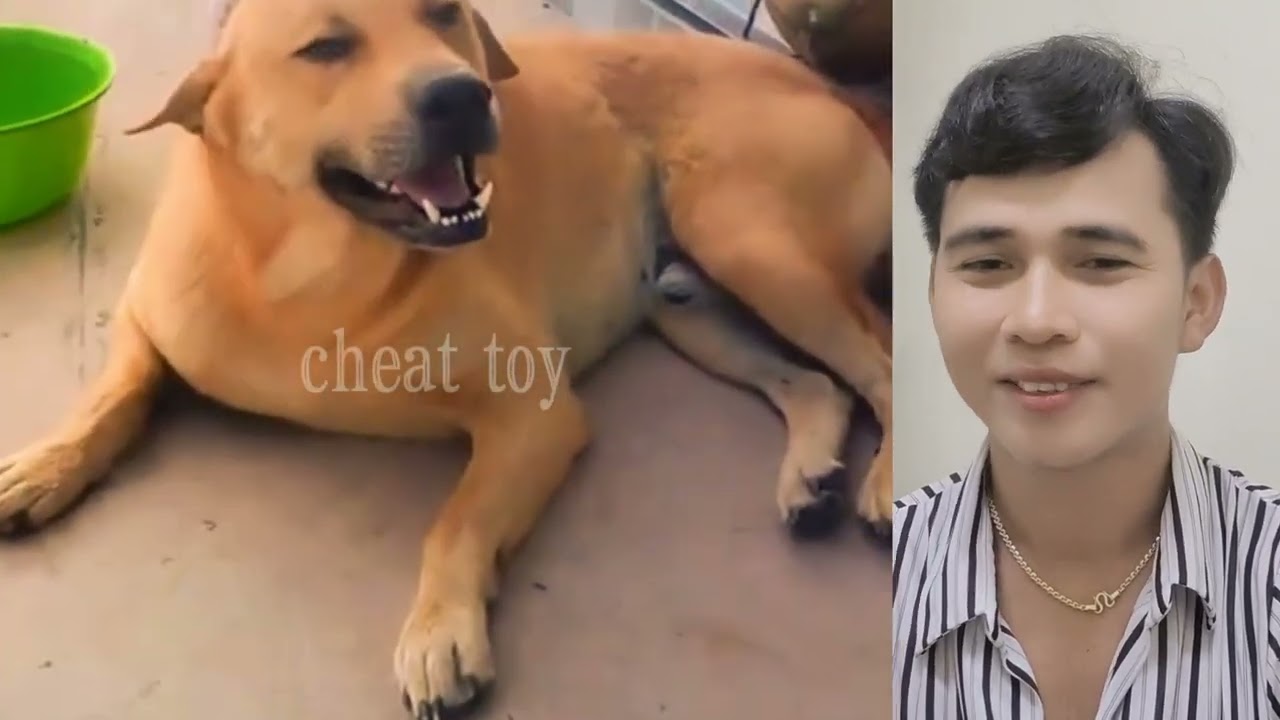 Ep33/ រកត្រីពីនាក់ឆ្កែ😁