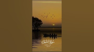 [سُورَةُ الشُّعَرَاءِ: ٦٩-٧٧]#سورة_الشعراء القارئ #عبدالله_الموسى
