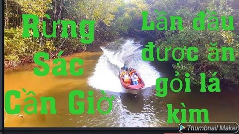 Trải nghiệm di tích lịch sử Rừng Sác.Lần đầu tiên được ăn gỏi rau rừng lá Kìm