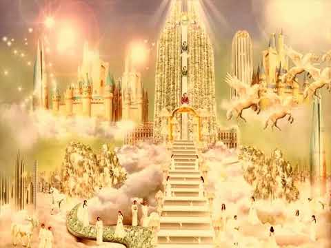 Глава 1. Мое время на Небесах. Ричард Зигмунд