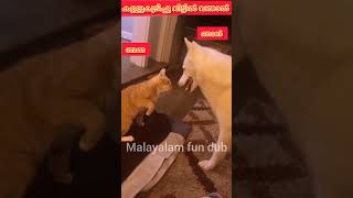 അമ്മേടെ ബോധം പോയേ  Malayalam comedy fun dub  #comedyshorts #funnyshorts