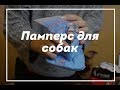 Памперс для собак / щенок йорка / йоркширский терьер